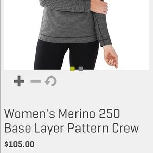 NWT Smartwool Merino 250 Base Layer Pattern Crew